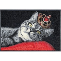 Tapis ROYAL CAT